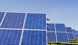 硅片新势力崛起