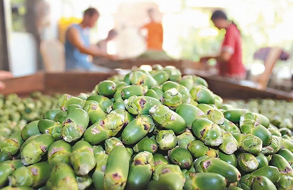 槟郎,投资,烟草,电子烟,消费