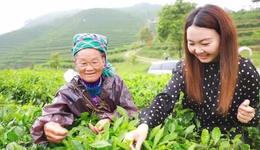 豐收了，電商助農(nóng)也“內(nèi)卷”