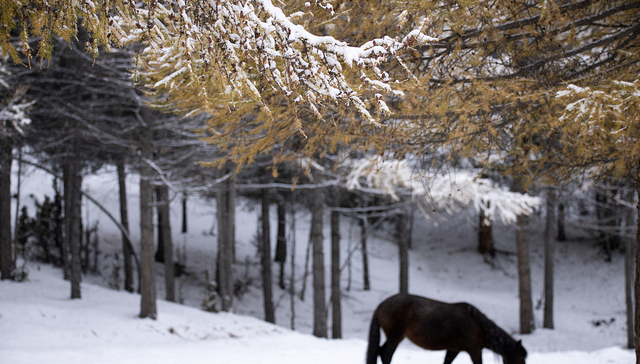 【图集】南方挥汗，北方御寒：历史首次寒潮预警和高温预警齐发