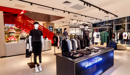 太平鸟在“阴云”下低飞