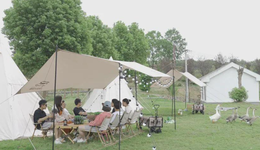 想躲開度假人流，沒想到房車游也火出天際