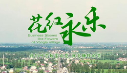 百姓話思想｜種植藏紅花后，又打造民宿花海