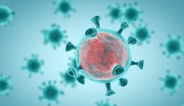 廣東韶關檢出奧密克戎BA.5新進化分支：傳染性極強、傳播速度極快