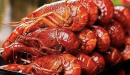 小龙虾预制菜走红，下一步该怎么走？