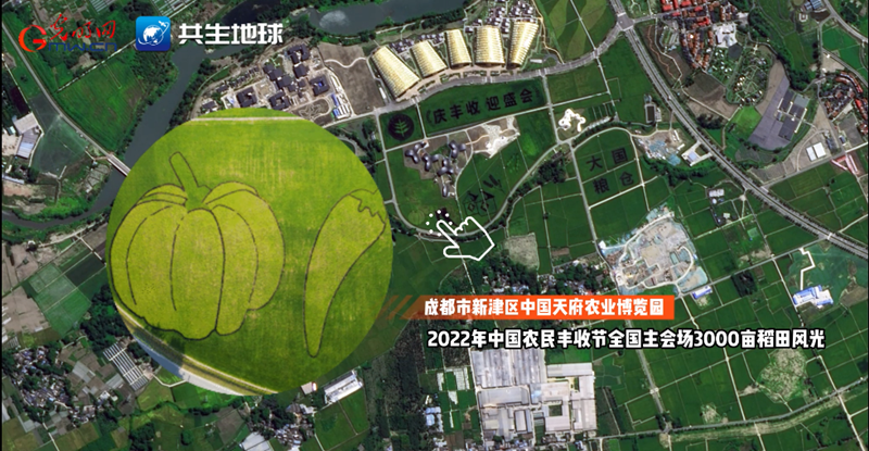 【卫星瞰丰收】川蜀大地“丰”景正当时