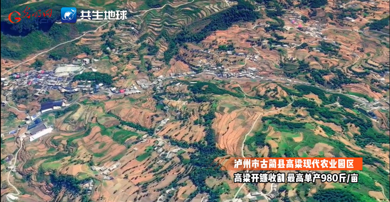 【卫星瞰丰收】川蜀大地“丰”景正当时