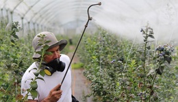 農(nóng)藥企業(yè)排隊(duì)IPO，11家企業(yè)擬募資89億元，行業(yè)春天來了嗎？