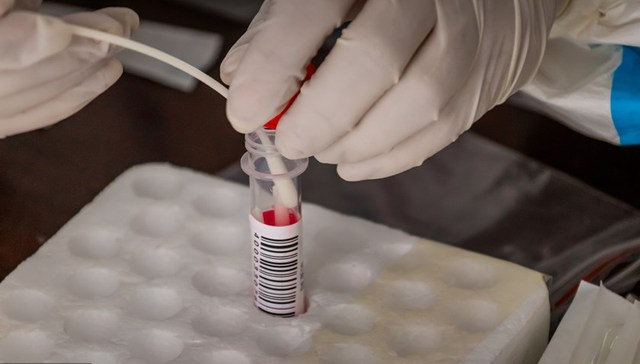 郑州加强疫情防控：进入公共场所须持24小时核酸阴性证明