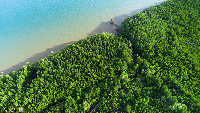 《海洋碳汇核算方法》批准发布，明年1月正式实施