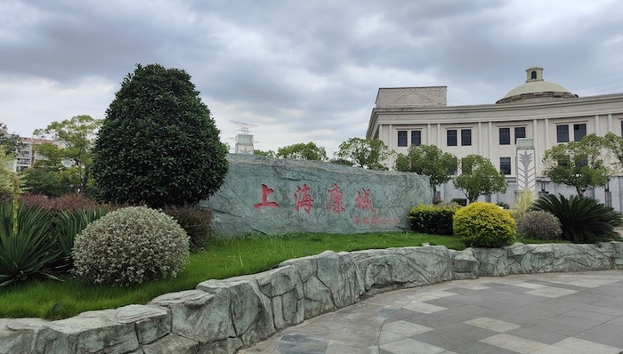 上海康城,张军萍,居委,二十大代表