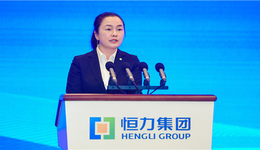 恒力石化董事长范红卫成为中国女首富