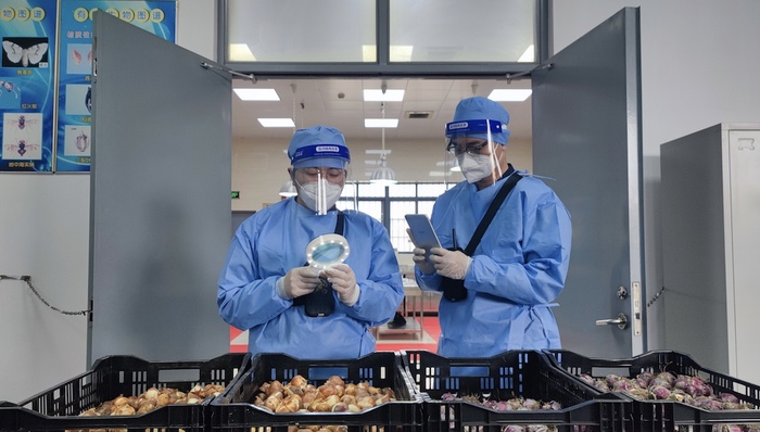 上海，海关，进博会，展品，通关,花卉,手术机器人