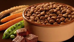 舌尖上的宠物食品