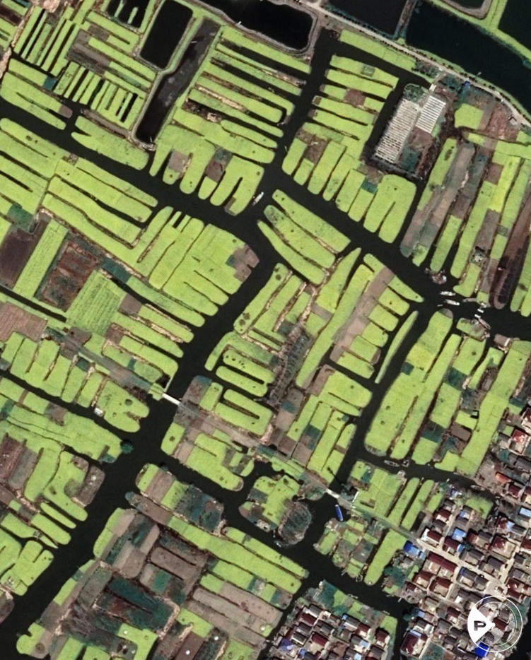 世界粮食日 | 岁稔年丰！遥感卫星视角“瞰”多彩农田