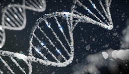 一图解码：世和基因科创板IPO，专注基因检测技术，持续烧钱尚未盈利