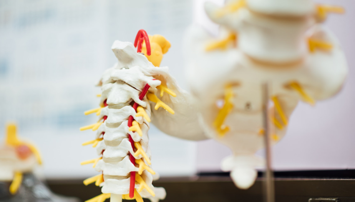 集中采购,市场份额,