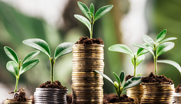 茅洋汾泸古等8家白酒股业绩背后：熬得住就出众，熬不住就出局