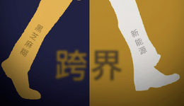 “黑芝麻”5亿跨界新能源疑云：老板娘玩不转的公司转手给老公？