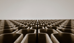 盒马如何走出迷宫？