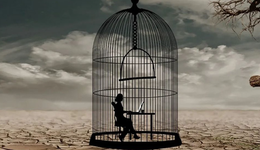 手机创新被锁死，缺的不是乔布斯，而是下一个爱因斯坦