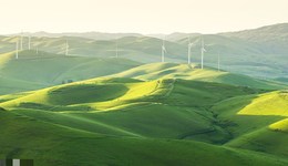 二十大報告談環(huán)境保護：促進人與自然和諧共生