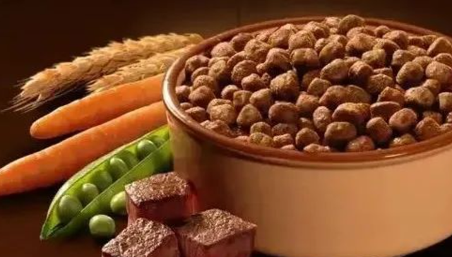 宠物食品,国产品牌,宠物经济