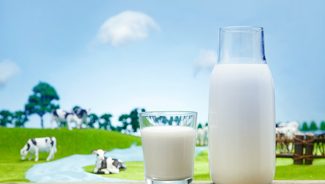 蒙牛、光明等大乳企的供应商要上市，能否快速扩张牧场规模是关键