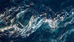 被消费者“拷问”的品牌