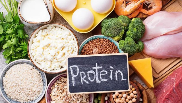 蛋白质,高蛋白食品,运动健身