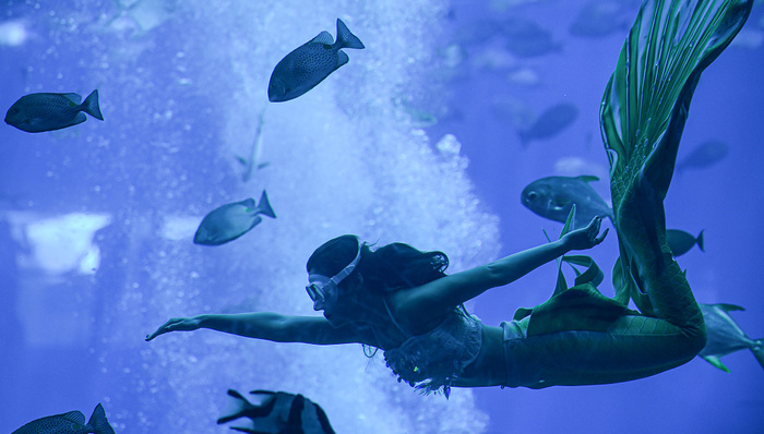 复星旅文前三季度营业额上涨110.4%