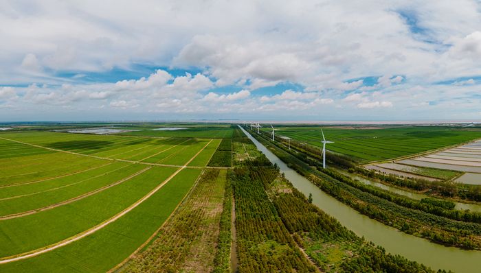 域外农场，上海,光明集团,白茅岭,安徽,江苏,大丰