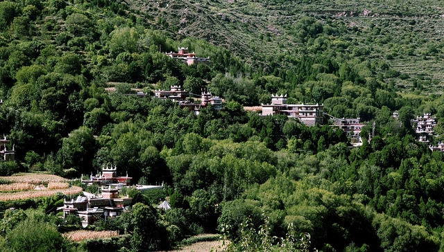 CCER质押贷款成为企业融资新选项，但价值评估等问题仍待明确