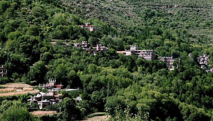 CCER质押贷款成为企业融资新选项，但价值评估等问题仍待明确