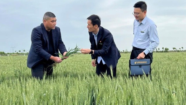 “支农支小”助振兴，邮储银行金融“活水”润齐鲁