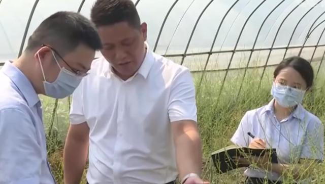 央视报道 | 邮储银行金融支持为芦笋产业赋能