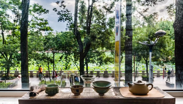 秋游不止银杏和红叶，观鸟主题民宿预订量增幅5倍