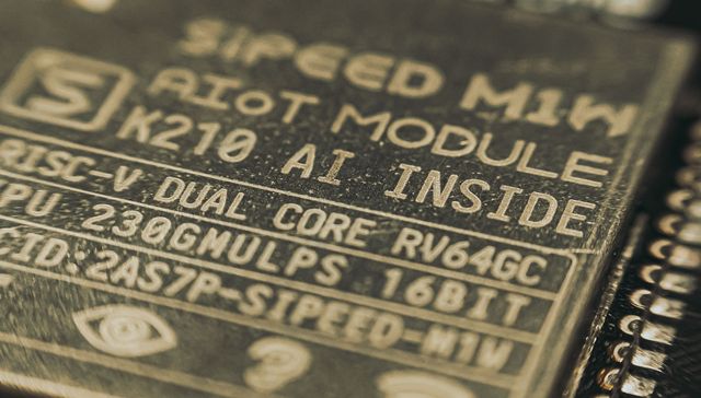 AI语音芯片收入不足一成，备受资本青睐的杭州国芯有多大“含金量”？| 快公司