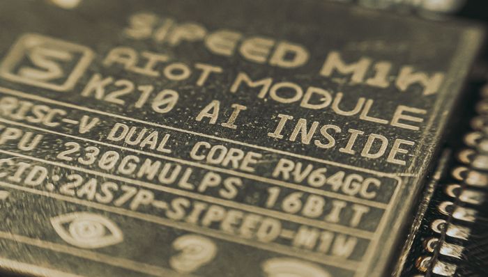 AI语音芯片收入不足一成，备受资本青睐的杭州国芯有多大“含金量”？| 快公司