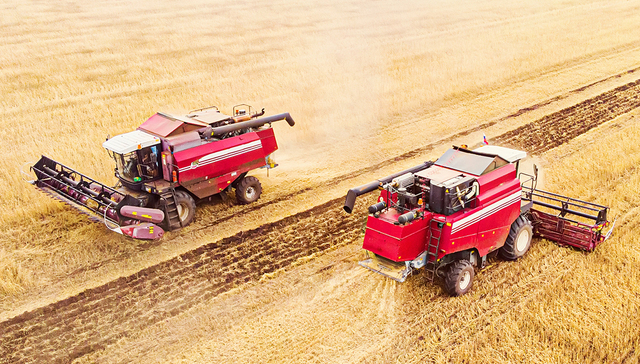 前三季度净利增近16倍，农发种业业绩大翻转背后有这些玄机