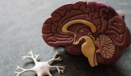 故事變事故，神經(jīng)介入喧囂十年