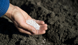 昔日“肥料大王”ST金正三季度巨虧，投資者索賠還在進(jìn)行，投資子公司近15億哪來的錢？