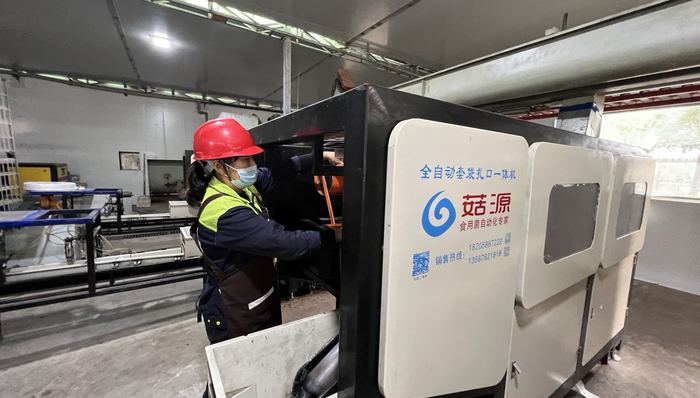 上海,农业,高质量发展,政协,菜田,粮食