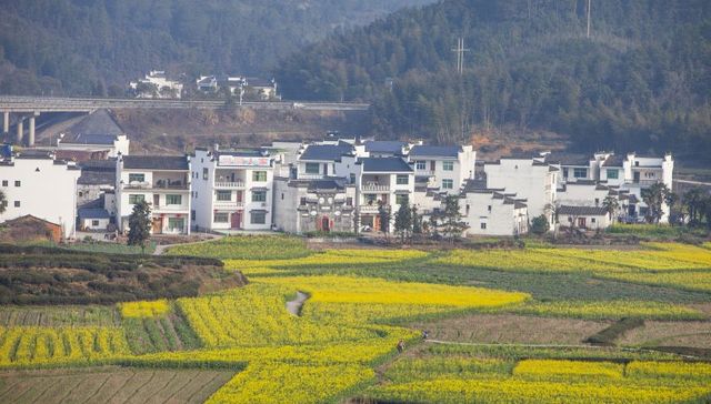 除了城乡差距缩小，我国收入分配格局还发生了哪些变化？