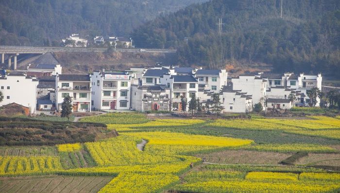 除了城乡差距缩小，我国收入分配格局还发生了哪些变化？