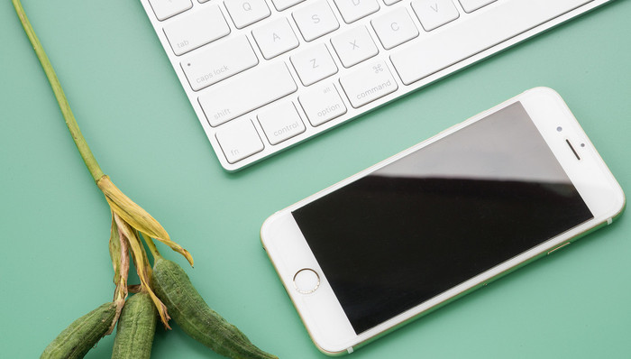 苹果,三季度报告