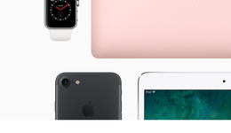 官翻機(jī)是個(gè)好生意，但只有蘋(píng)果做出了知名度