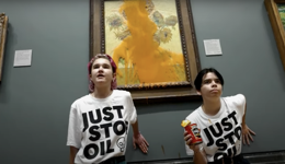 吸引眼球还是别无选择？当美术馆和名画成为气候抗议活动的靶子