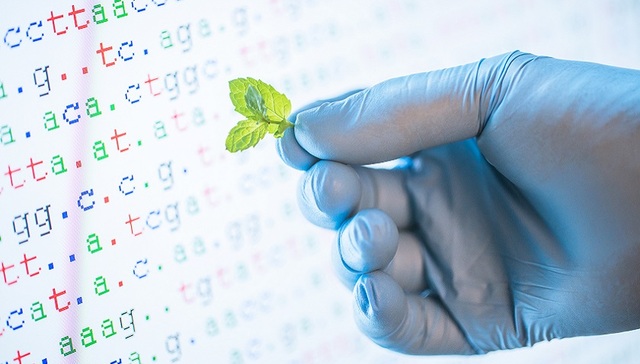 各类基因检测充斥电商平台，费钱但作用有限|界面健康315