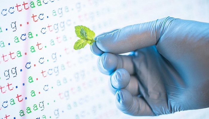 各类基因检测充斥电商平台，费钱但作用有限|界面健康315